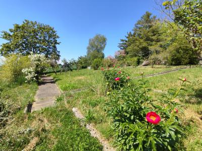Annonce Vente Maison Perrex 01