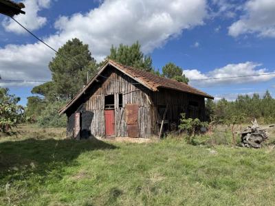 For sale Escource 9 rooms 175 m2 Landes (40210) photo 3