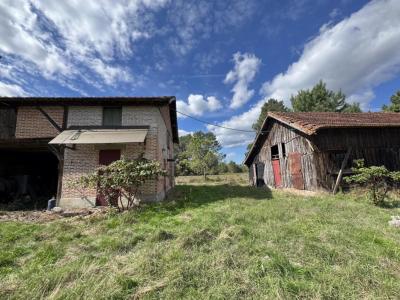 For sale Escource 9 rooms 175 m2 Landes (40210) photo 4