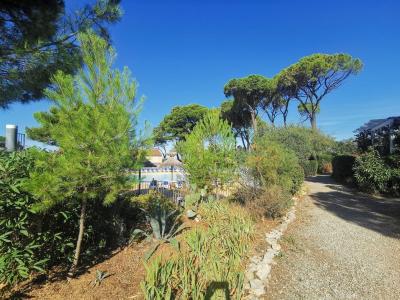 For sale 3 rooms 39 m2 Gard (30420) photo 3