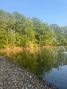 For sale Laizy Saone et loire (71190) photo 3
