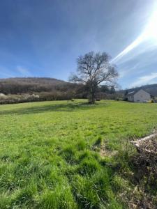 For sale Creusot Saone et loire (71200) photo 0