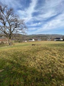 For sale Creusot Saone et loire (71200) photo 1