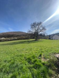 For sale Creusot Saone et loire (71200) photo 3