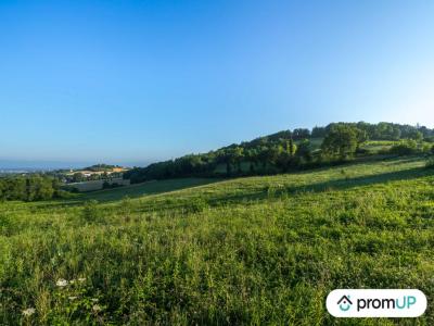 For sale Clairac 11000 m2 Lot et garonne (47320) photo 2