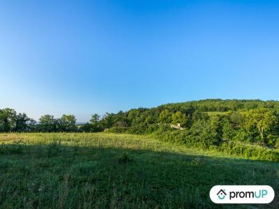 For sale Clairac 11000 m2 Lot et garonne (47320) photo 4