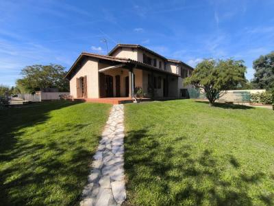 Annonce Location 4 pices Maison Toulouse 31