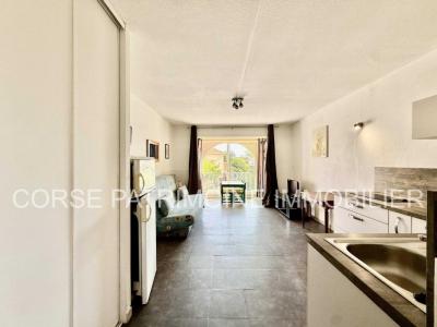 Acheter Appartement 25 m2 Cervione
