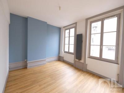 For rent Saint-etienne 2 rooms 48 m2 Loire (42000) photo 0