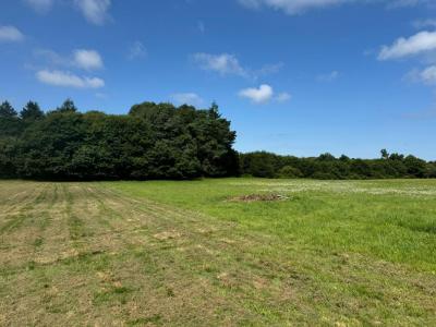 For sale Pluvigner 7 rooms 300 m2 Morbihan (56330) photo 3