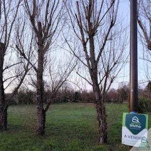 Annonce Vente Terrain Saint-junien 87