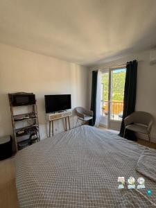 For rent Amelie-les-bains 1 room 17 m2 Pyrenees orientales (66110) photo 4