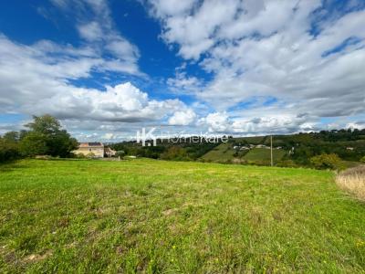 For sale Vieille-toulouse 3530 m2 Haute garonne (31320) photo 0