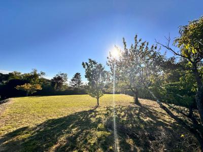 For sale Aiguillon 1000 m2 Lot et garonne (47190) photo 3