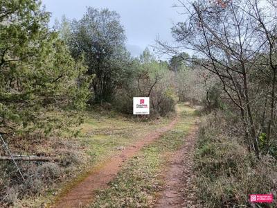 For sale Saint-paul-en-foret 5514 m2 Var (83440) photo 1