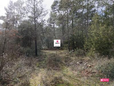 For sale Saint-paul-en-foret 5514 m2 Var (83440) photo 2