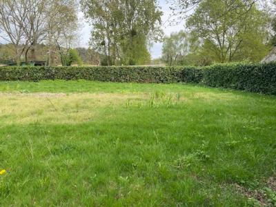 Acheter Terrain 1000 m2 Molac