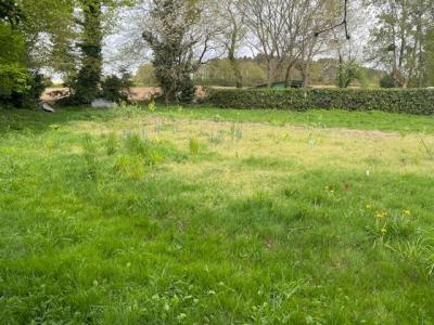 Acheter Terrain Molac Morbihan