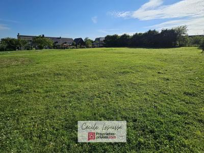 Acheter Terrain 1054 m2 Saint-antoine-la-foret