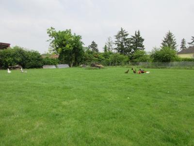 For sale Chatres CHATRES Aube (10510) photo 1