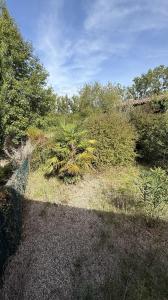 For sale Buzet-sur-baise 3 rooms 66 m2 Lot et garonne (47160) photo 1