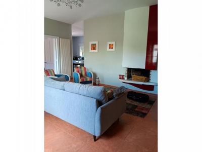 For sale Castelginest 7 rooms 225 m2 Haute garonne (31780) photo 4