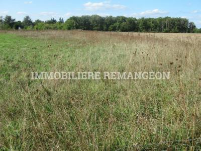 For sale Chaumont-sur-tharonne 1000 m2 Loir et cher (41600) photo 0