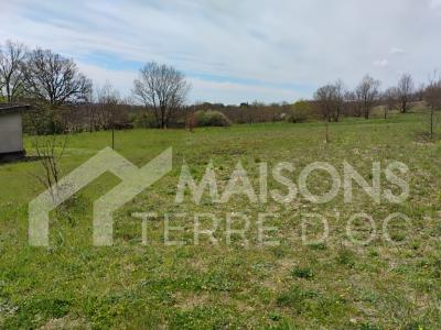 For sale Graulhet 1249 m2 Tarn (81300) photo 0