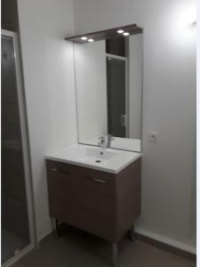 For rent Lyon-7eme-arrondissement 2 rooms 39 m2 Rhone (69007) photo 3