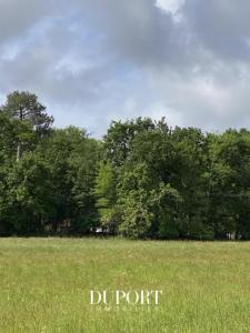 For sale Sainte-eulalie-en-born 4 rooms 85 m2 Landes (40200) photo 0