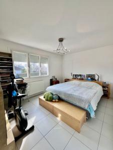 For sale SAINT JULIEN LES VILLAS 135 m2 Aube (10800) photo 3