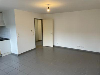 For rent Fenouillet 2 rooms 45 m2 Haute garonne (31150) photo 0