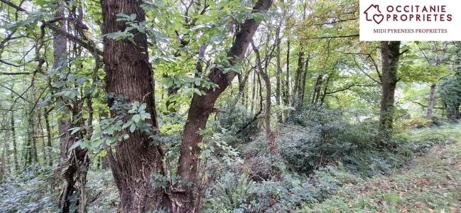 For sale Prayols 1092 m2 Ariege (09000) photo 3