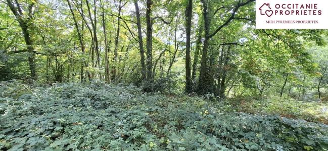 For sale Prayols 1092 m2 Ariege (09000) photo 4
