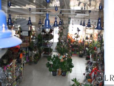 Annonce Vente Local commercial Chalindrey 52