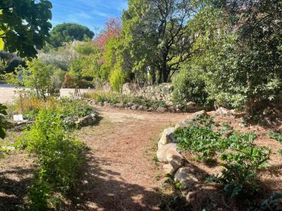 For sale Montolieu 14 rooms 900 m2 Aude (11170) photo 3