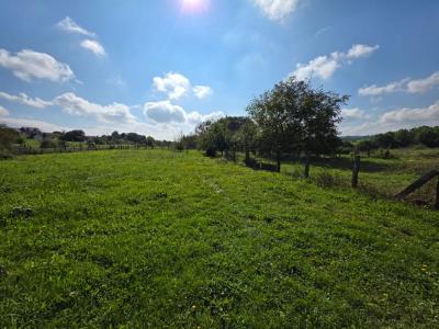 Acheter Maison 270 m2 Gondenans-montby