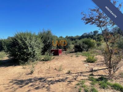 For sale Thuir 10640 m2 Pyrenees orientales (66300) photo 3