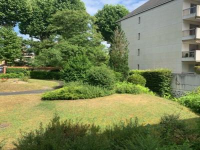 For rent Fontainebleau 3 rooms 73 m2 Seine et marne (77300) photo 2