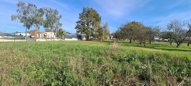 Acheter Terrain 1146 m2 Saint-crespin-sur-moine