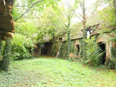 Acheter Maison Logelheim Haut rhin
