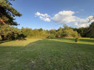 For sale Poinconnet 1099 m2 Indre (36330) photo 1