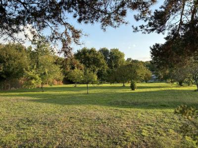 For sale Poinconnet 1099 m2 Indre (36330) photo 2