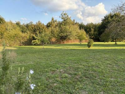 For sale Poinconnet 1099 m2 Indre (36330) photo 3