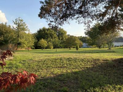 For sale Poinconnet 1099 m2 Indre (36330) photo 4