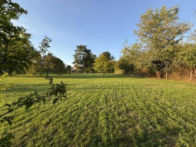 For sale Poinconnet 1120 m2 Indre (36330) photo 1