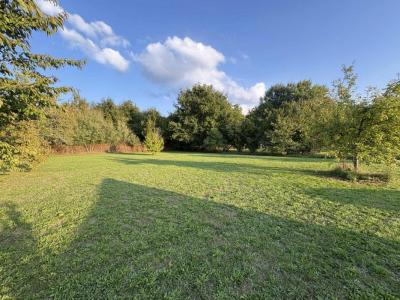 For sale Poinconnet 1120 m2 Indre (36330) photo 2