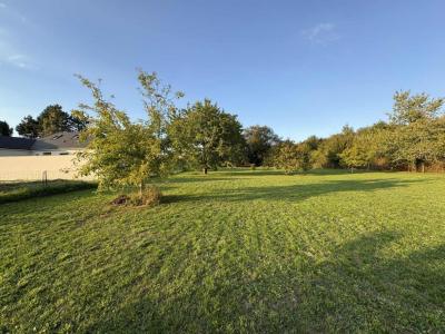 For sale Poinconnet 1120 m2 Indre (36330) photo 3