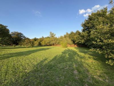 For sale Poinconnet 1120 m2 Indre (36330) photo 4