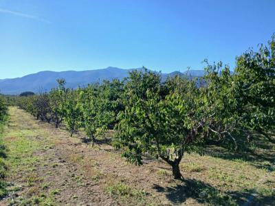 For sale Ceret 7121 m2 Pyrenees orientales (66400) photo 1